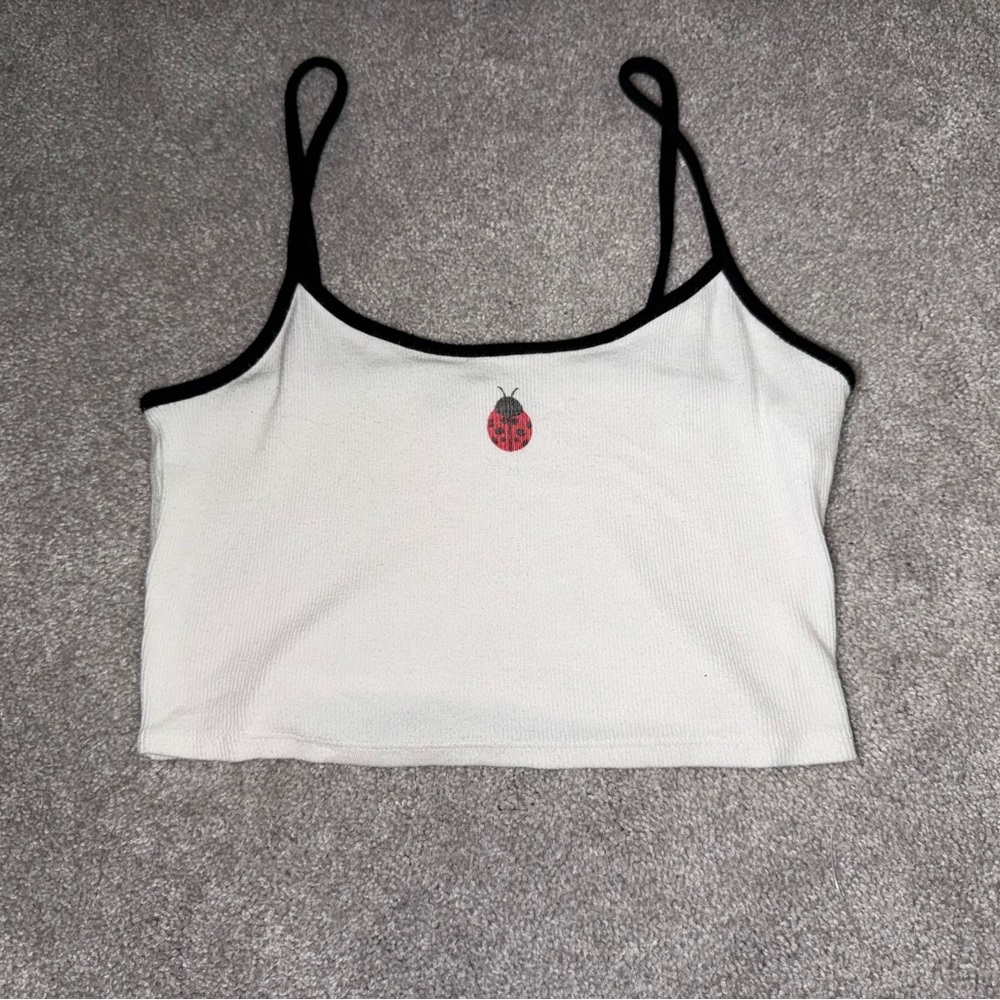 Ladybug crop